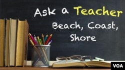 Ask a Teacher: Beach, Coast, Shore 