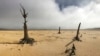 Much Publicized ‘Day Zero’ Changed Cape Town Forever