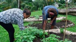 Quiz - How to Enjoy Gardening in Winter