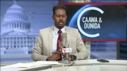 Caawa iyo Dunida