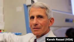 Dr. Anthony Fauci, Director of the National Institute of Allergy and Infectious Diseases