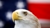 Don't Miss a Thing With 'Eagle Eyes'