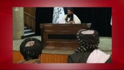 د ډیوه د روانو چارو خپرونه په ټي وي

