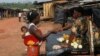 Ivory Coast Battles to Save Forests Destroyed by Cocoa Farming