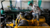 In Nigeria, New Money in Used Tires