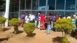 Varimi Vefodya Vanoti Mitengo yeChirimwa Ichi Yakaderera Zvakanyanya
