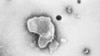 US Children’s Hospitals Report Surge in RSV Infection
