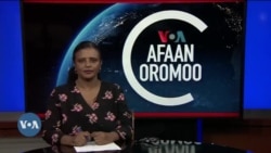 Tamsaasa Guyaadhaa Guyyaa
