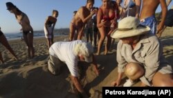 People surround marine biologists Andreas Demetropoulos, and Myroula Hadjichristophorou as they try to pull out sea turtles that just hatched from a nest on Cyprus’ Lara Beach.