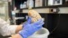 Electric Shocks, Not Drugs, Help A Brain Disease. 