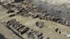 Remains from Mass Grave in Japan Suggest Epidemic in 1800s