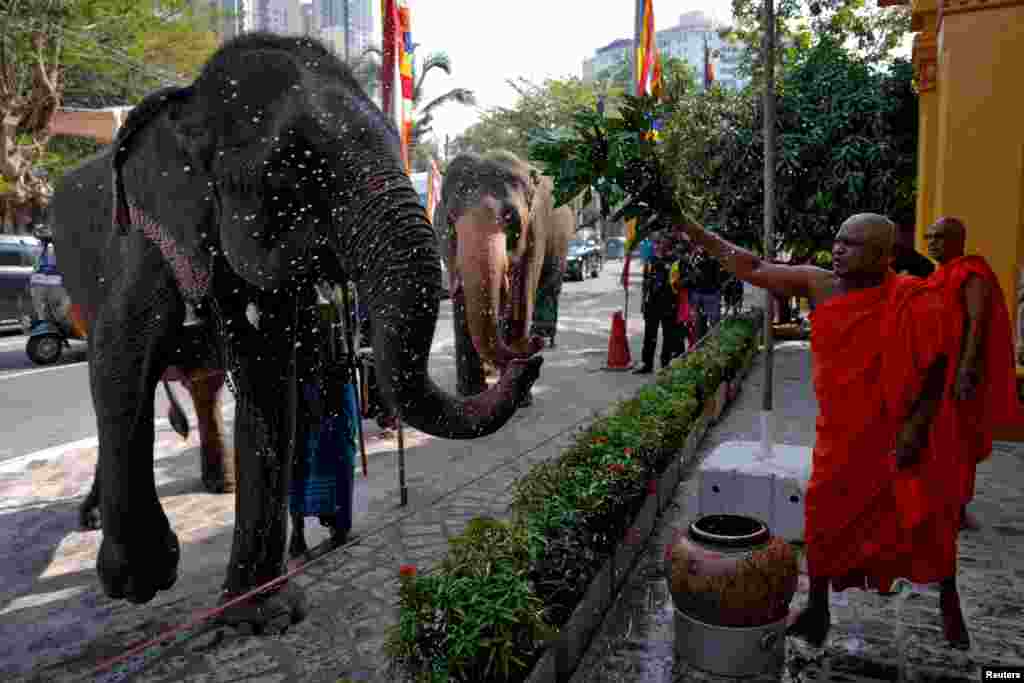 A Buddhist monk sprinkles pure water on an elephant as part of blessings at the Gangaramaya Buddhist temple in Colombo, Sri Lanka. REUTERS/Thilina Kaluthotage