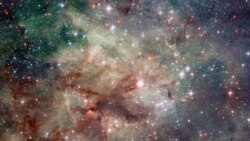 NASA's Hubble space telescope has taken this stunning close-up shot of part of the Tarantula Nebula. This star-forming region of ionized hydrogen gas is in the Large Magellanic Cloud, a small galaxy which neighbors the Milky Way. (NASA/ESA)