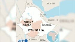 ፈነወ ድምጺ ኣመሪካ ቋንቋ ትግርኛ 31 ጥሪ 2023
