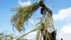 Group Warns of Rising ASEAN Land Grab Conflicts