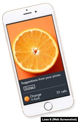 Lose It App