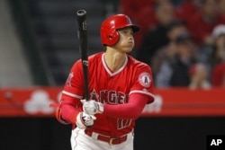 Shohei Ohtani, a Japanese professional baseball player, hits a home run against the New York Yankees