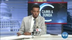 Caawa iyo Dunida