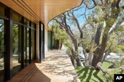 This image provided by KAA Design Group shows their Tree House project in California. The architect convince the owners to feature the old tree in the design of the house. (KAA Design Group via AP)