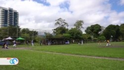  Beisbolistas nicaragüenses exiliados en Costa Rica se esfuerzan por continuar su carrera 