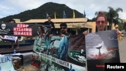 Activists attend a protest during the International Whaling Commission (IWC) conference in Florianopolis, Brazil, Sept. 10, 2018. (REUTERS/Sebastian Rocandio)