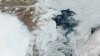 Countries Compete for Oil in the Arctic