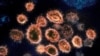 Study: British COVID-19 Variant Causes More Deaths