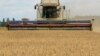 Farming in Ukraine Will Take Years to Recover after War
