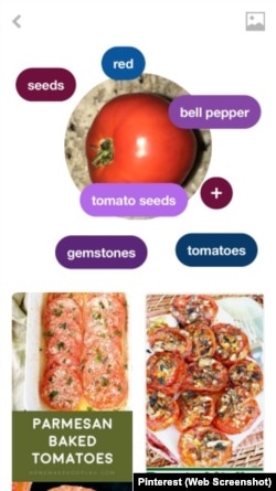 Pinterest Lens Food