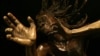 Smithsonian Exhibit Shapes Human Evolution