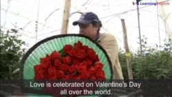 Love Finds a Way