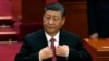 资料照：中国领导人习近平