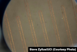 Nanowires