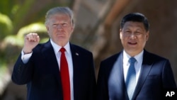 美国总统川普和中国国家主席习近平