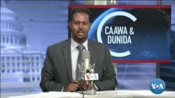Caawa iyo Dunida