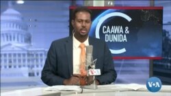Caawa iyo Dunida
