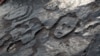  Dry Weather Uncovers Stone Designs under Amazon River