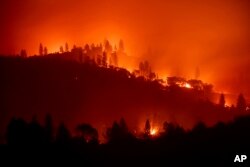 The Camp Fire burns along a ridgetop near Big Bend, Calif., on Saturday, Nov. 10, 2018. (AP Photo/Noah Berger)