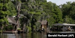 Louisiana Bayou