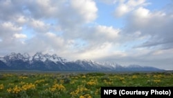 Antelope Flats