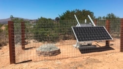 This June 1, 2018 photo provided by the U.S. Geological Survey shows an earthquake monitoring station near the Lusardi Creek County Preserve, San Diego County, California. (USGS via AP)