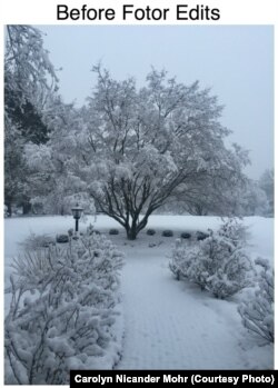 Image Before Fotor Edits