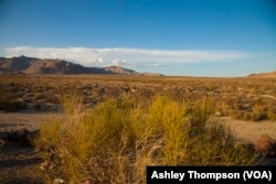 The Mojave Desert