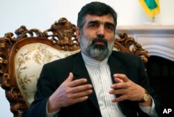 FILE - Behrouz Kamalvandi speaks during a press conference.