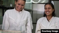 Teresa Camacho Badani, left, chief of herpetology at Bolivia’s Alcide d’Orbigny Natural History Museum, and Sophia Barrón Lavayen, head of conservation breeding,look at Romeo and Juliet together inside a tank. (Photo: Global Wildlife Conservation)