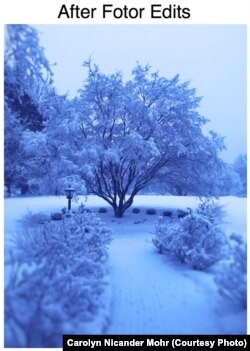 Fotor App Edit Blue Blur Focus
