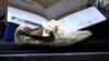 Old, Rare Nike Shoes Sold for Hundreds of Thousands of Dollars