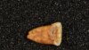 New Research Shows How Early Humans Lived Before Agriculture
