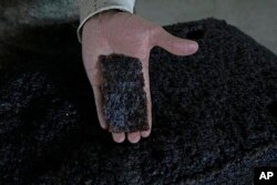 A worker shows a piece of a processed rubber plate taken for sample control at a rubber industrial plant of the cooperative called Cooperacre, in Sena Madureira, Acre state, Brazil, Friday, Dec. 9, 2022. (AP Photo/Eraldo Peres)