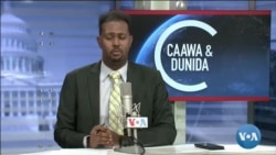 Caawa iyo Dunida